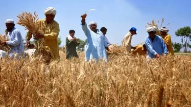 पंजाब में कर्जे ने उजाड़ा एक और परिवार, किसान ने उठाया खौफनाक कदम