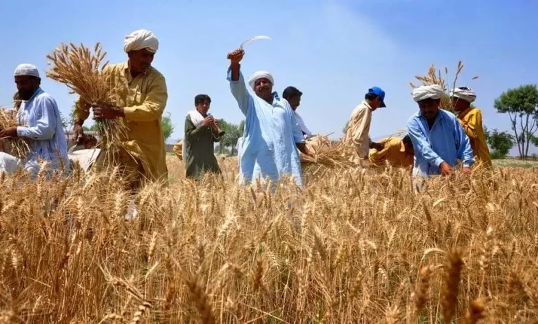पंजाब में कर्जे ने उजाड़ा एक और परिवार, किसान ने उठाया खौफनाक कदम