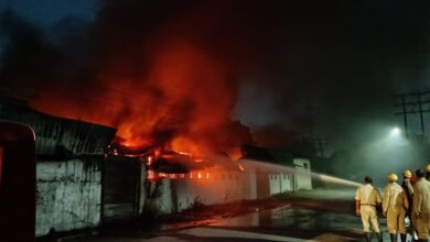 Fire In Indore: इंदौर के पोलोग्राउंड में इंक फैक्ट्री में लगी भीषण आग, तीन फायर स्टेशनों से पहुंचीं दमकलें
