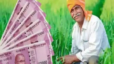 देश के करोड़ों किसानों के लिए खुशखबरी; PM Kisan की 16वीं किस्त जारी, बैंक खातों में आ गए 2-2 हजार रुपये, ऐसे चेक करें