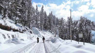 मौसम विभाग ने पश्चिमी हिमालय क्षेत्र में आज से बृहस्‍पतिवार तक वर्षा और हिमपात का ताजा दौर जारी रहने का अनुमान जताया