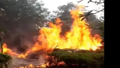 थाना सेक्टर 49 क्षेत्र सेक्टर 50 स्थित मेघदूतम पार्क में सोमवार सुबह करीब 8 बजे गार्डन वेस्ट में आग लग गई
