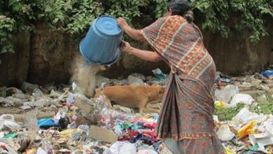 प्राधिकरण की टीम ने सोमवार को तुगलपुर और सेक्टर पाई का दौरा कर सफाई व्यवस्था का जायजा लिया