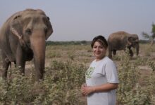 ACTOR DIVYA SETH SHAH SIDES WITH ELEPHANTS AND BEARS, SUPPORTS CONSERVATION EFFORTS