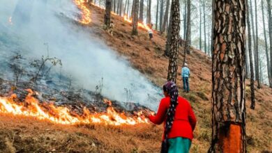 चूहड़पुर गांव के पास सुबह 20 बीघा से अधिक जमीन पर फसल के अवशेष जलाए जाने के बाद ग्रेटर नोएडा का वायु प्रदूषण रेड जोन में चला गया