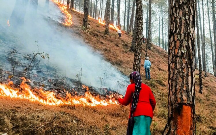 चूहड़पुर गांव के पास सुबह 20 बीघा से अधिक जमीन पर फसल के अवशेष जलाए जाने के बाद ग्रेटर नोएडा का वायु प्रदूषण रेड जोन में चला गया