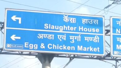 दिल्ली के गाजीपुर स्लाटर हाउस में ईद उल अज़हा से तीन दिनों तक के लिए कुर्बानी की व्यवस्था