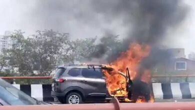 Noida Fire: नोएडा में आग का तांडव, एलिवेटेड पर चलती कार बनी आग का गोला | Top Story News