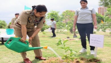 इस अवसर पर पुलिस कमिश्नर ने सभी जनपदवासियों को अधिक से अधिक संख्या में वृक्षारोपण करने का संदेश दिया।