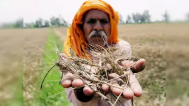 मुख्य सचिव स्तर तक यह तैयारी कर ली गई है। पूर्ववर्ती अखिलेश यादव के वक्त बनाए गए नियमों में व्यापक बदलाव करने की तैयारी चल रही है