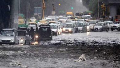 नोएडा में हुई तेज बारिश ने मौसम को खुशनुमा बना दिया। मौसम न सिर्फ सुहाना हुआ है, बल्कि तापमान भी गिरकर 29 डिग्री पर पहुंच गया है।