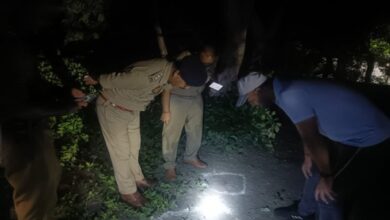 थाना फेज-1 क्षेत्र के सेक्टर-15ए में पुलिस और बदमाशों के बीच मुठभेड़ हो गई।