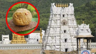 Tirupati Laddu Row