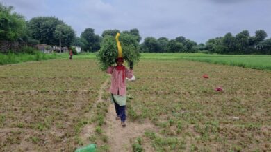 -दादरी विधायक तेजपाल नागर की मौजूदगी में हुआ ड्रा