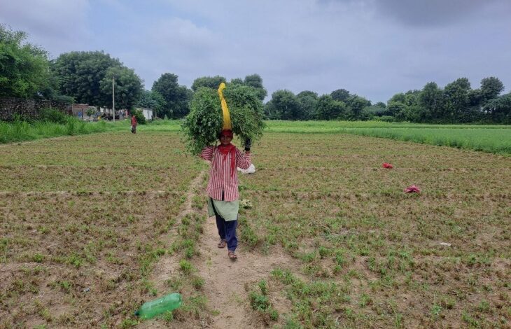 -दादरी विधायक तेजपाल नागर की मौजूदगी में हुआ ड्रा