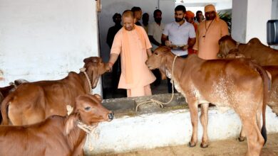 गोरक्षपीठाधीश्वर ने शारदीय नवरात्रि में गुरुवार सुबह मां पाटेश्वरी के दर्शन-पूजन किए