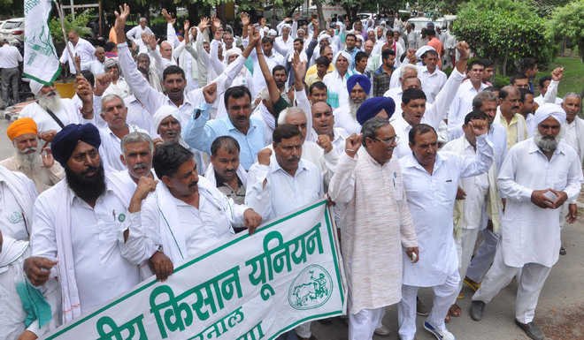 भारतीय किसान यूनियन क्रांति के नेतृत्व में गांव हजरत बाजितपुर में एक पंचायत हुई जिसकी अध्यक्षता महेंद्र यादव ने की।