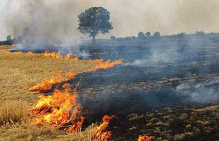 सीबीजी प्लांट से अन्नदाता के साथ ऊर्जादाता भी बन रहे किसान