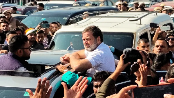 Rahul Gandhi-Priyanka Sambhal Updates