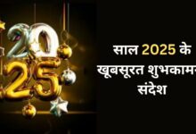 Happy New Year 2025 Wishes Quotes in Hindi