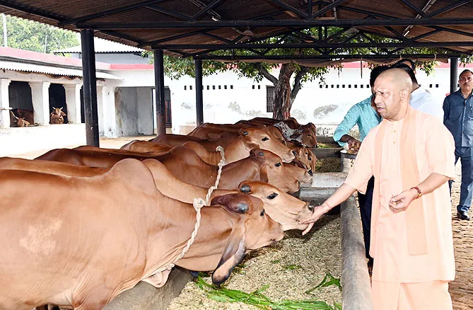 -निराश्रित गोवंश के संरक्षण एवं संवर्धन के लिए प्रतिबद्ध है योगी सरकार