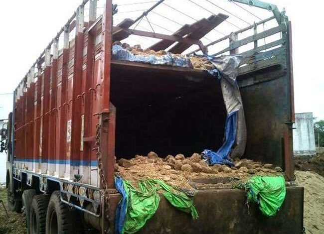 उत्तर प्रदेश, गाजियाबाद: पशुओं की खाल से लदा ट्रक पकड़ा