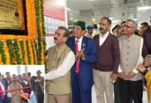 चमियाना