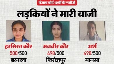 Punjab Board 12th Result 2025 Out