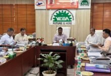 उत्तर प्रदेश, नोएडा: यमुना एक्सप्रेस वे के किनारे बनेगी 100 मीटर चौड़ी ग्रीनबेल्ट