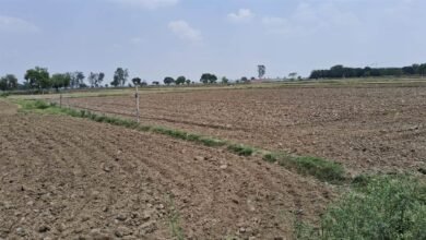 उत्तर प्रदेश, नोएडा: नोएडा एयरपोर्ट के लिए जमीन अधिग्रहीत होने के बाद भी किसान कर रहे फसल बोने की तैयारी