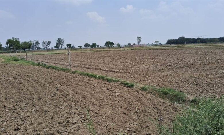 उत्तर प्रदेश, नोएडा: नोएडा एयरपोर्ट के लिए जमीन अधिग्रहीत होने के बाद भी किसान कर रहे फसल बोने की तैयारी