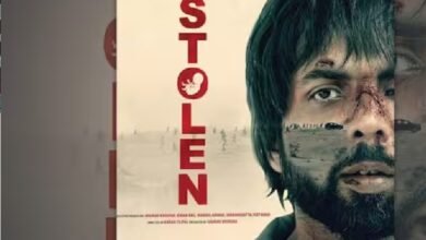 Stolen Review
