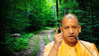 गोरखपुर, खीरी और बिजनौर वन प्रभाग की कार्य योजनाएं 30 सितंबर को पूरी हो रही हैं