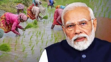 उत्तर प्रदेश, लखनऊ: उत्तर प्रदेश के किसानों को मोदी सरकार की सौगात