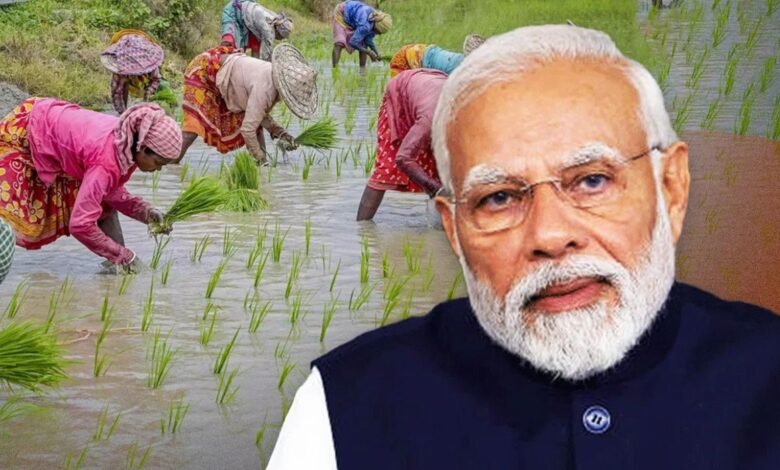 उत्तर प्रदेश, लखनऊ: उत्तर प्रदेश के किसानों को मोदी सरकार की सौगात