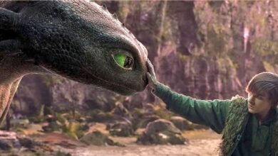 How to Train Your Dragon