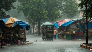 Heavy Rain Alert