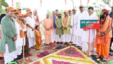 37 करोड़ के सापेक्ष 21,40,925 अधिक पौधे लगाए गए