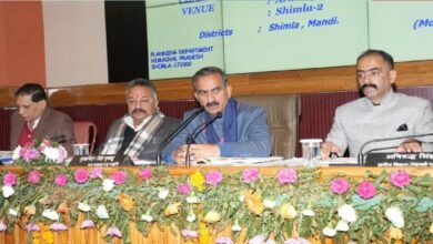 बांस प्रसंस्करण संयंत्र