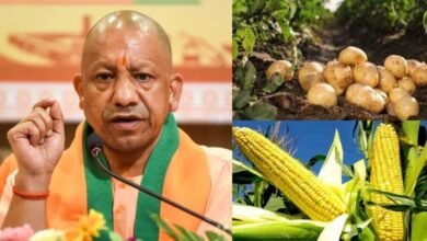 पीपीपी मॉडल में निन्जाकार्ट और एग्रिस्टो से करार, 10 हजार किसानों से हर साल 25 हजार टन मक्का खरीदेगी कंपनी