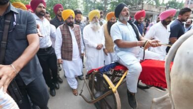 पंजाब, चंडीगढ़: मुख्य मंत्री ने राज्य में पारंपरिक ग्रामीण खेलों को और बढ़ावा देने और संरक्षित करने की प्रतिबद्धता दोहराई