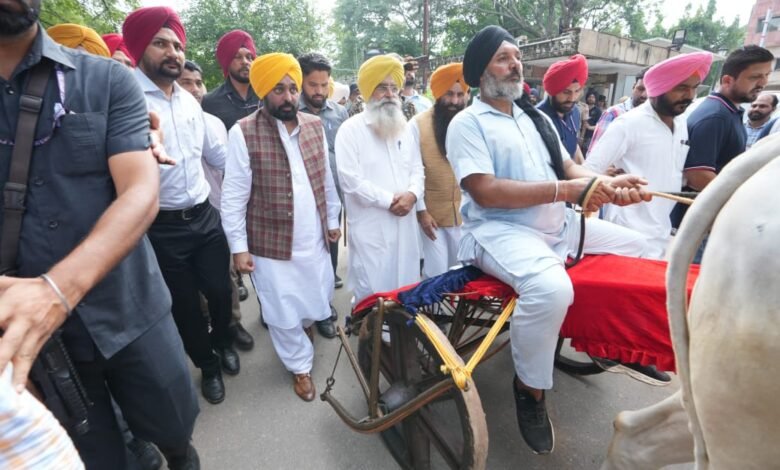 पंजाब, चंडीगढ़: मुख्य मंत्री ने राज्य में पारंपरिक ग्रामीण खेलों को और बढ़ावा देने और संरक्षित करने की प्रतिबद्धता दोहराई
