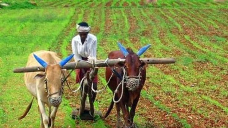 उत्तर प्रदेश, लखनऊ: ट्रेनिंग-ऑफ-ट्रेनर्स मॉडल से प्रशिक्षित किए जाएंगे किसान प्रशिक्षक