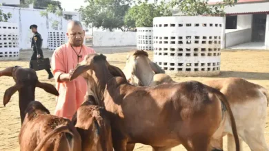 यूपी की सभी गोशालाओं में गोपाल वन स्थापित करेगी योगी सरकार