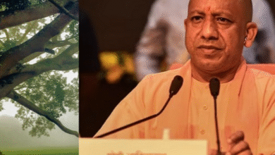 पेड़-पौधों के जरिए भी विरासत का सम्मान करने को योगी सरकार प्रतिबद्ध
