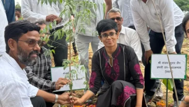 उत्तर प्रदेश, नोएडा: मियावाकी पद्धति से पौधरोपण, तीन साल में दिखेगा अलग ही नजारा