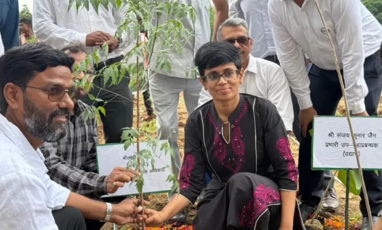 उत्तर प्रदेश, नोएडा: मियावाकी पद्धति से पौधरोपण, तीन साल में दिखेगा अलग ही नजारा