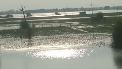 हथिनी कुंड