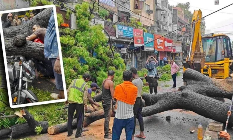 Kalkaji Tree Fall Accident