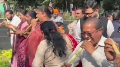 Shahdara sugarcane competition, community event Delhi, local fun activitie